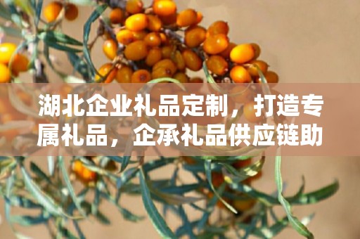 湖北企业礼品定制，打造专属礼品，企承礼品供应链助力商务往来